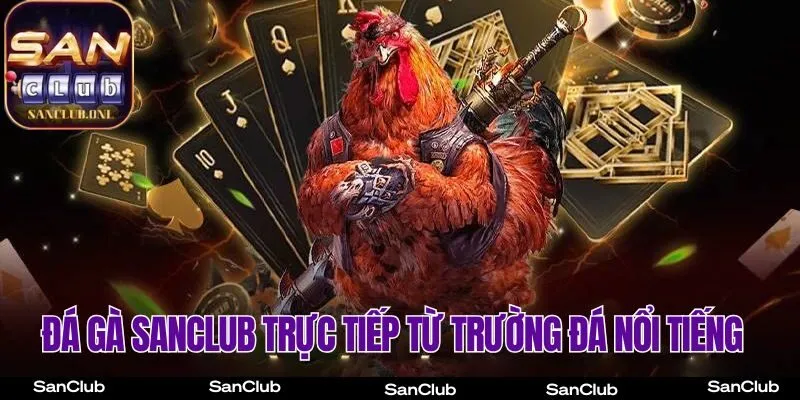 Đá gà SanClub trực tiếp từ trường đá nổi tiếng